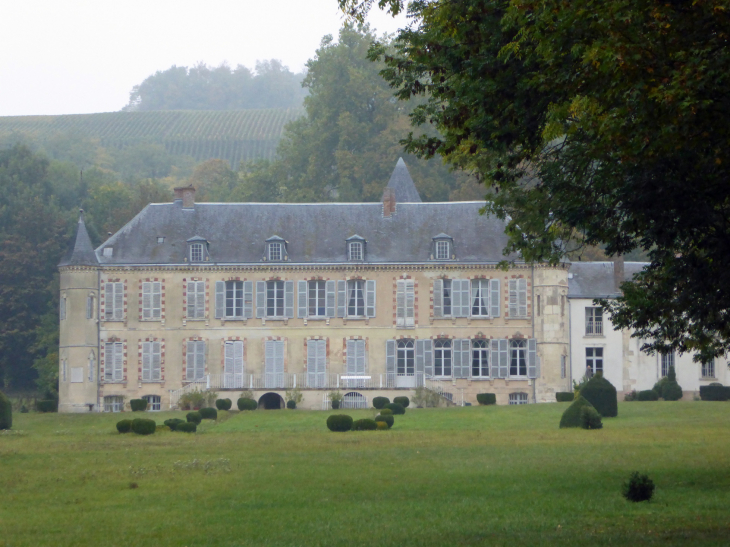Le château - Vandières