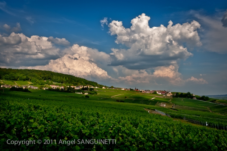 Venteuil, fin d'après-midi