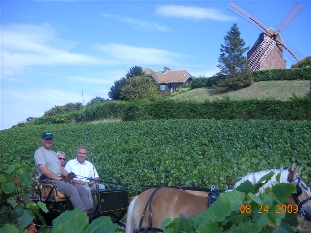 Petite balade en attelage devant le Moulin de Verzenay