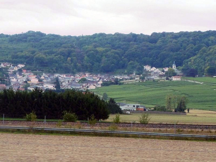 Vue sur le village et la forêt plantée de  - Verzy