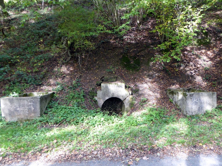 Vestiges 14-18 le campement français : la fontaine - Vienne-le-Château