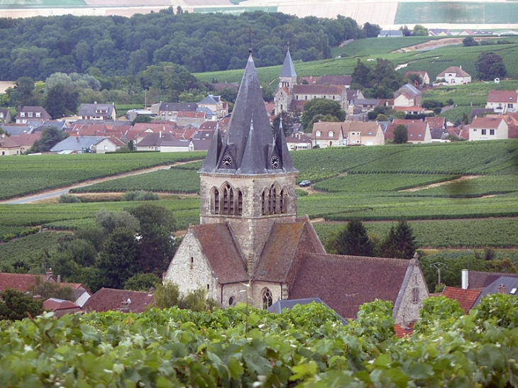 Entre le vignoble et le village de Sacy - Ville-Dommange