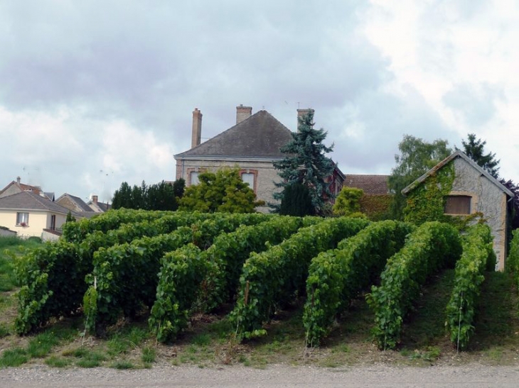 Village du vignoble - Villers-Marmery