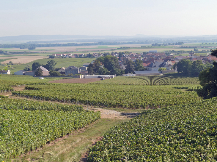 Le village vu du vignoble - Villers-Marmery