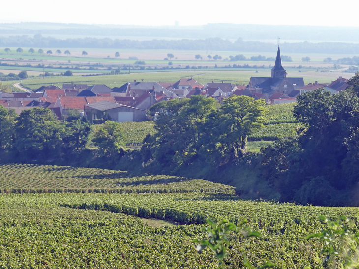 Le village et son église vus du vignoble - Villers-Marmery