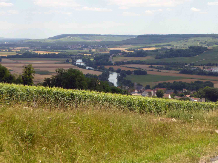 Le village sur les coteaux de la Marne - Vincelles