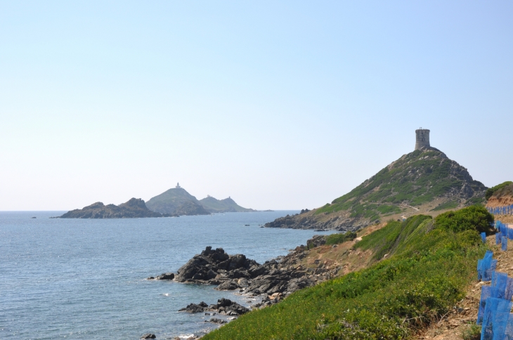 Iles Sanguinaires & Pointe de la Parata - Ajaccio