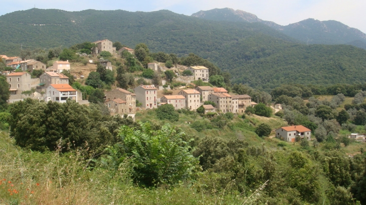 ALBITRECCIA - CORSE DU SUD