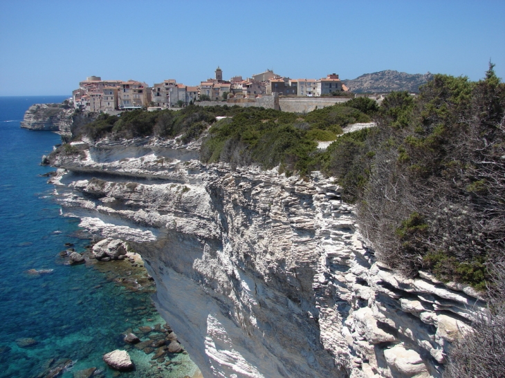 Les Falaises et la Ville - Bonifacio