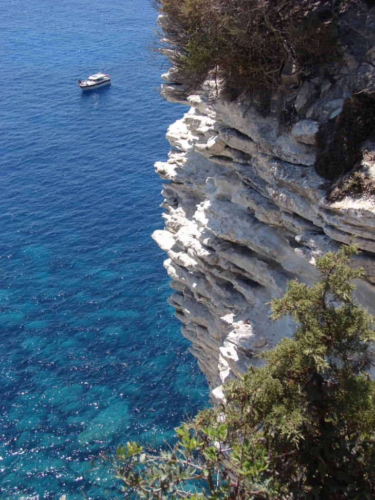 Les Falaises - Bonifacio