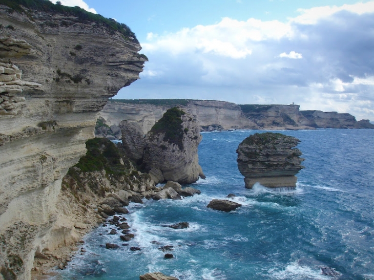 Bonifacio