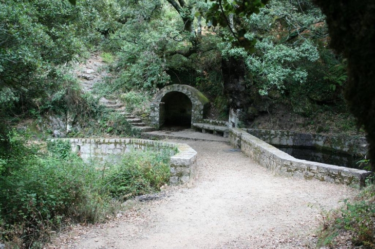 Funtana di a Liccia - Carbini