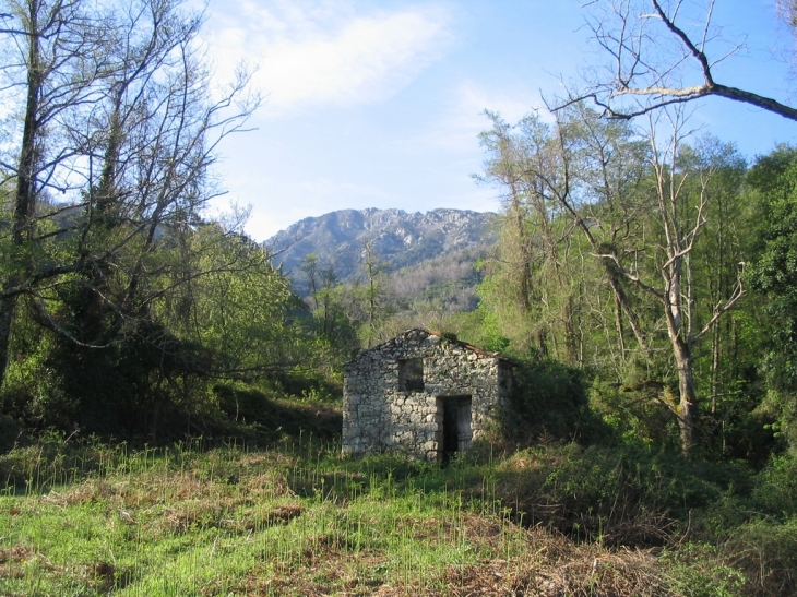 Sentier Carbuccia Ucciani