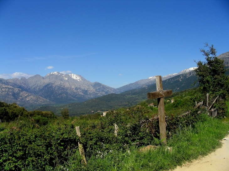 Vue sur le haut du village - Carbuccia