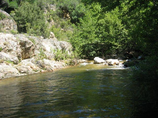 Riviere de foce