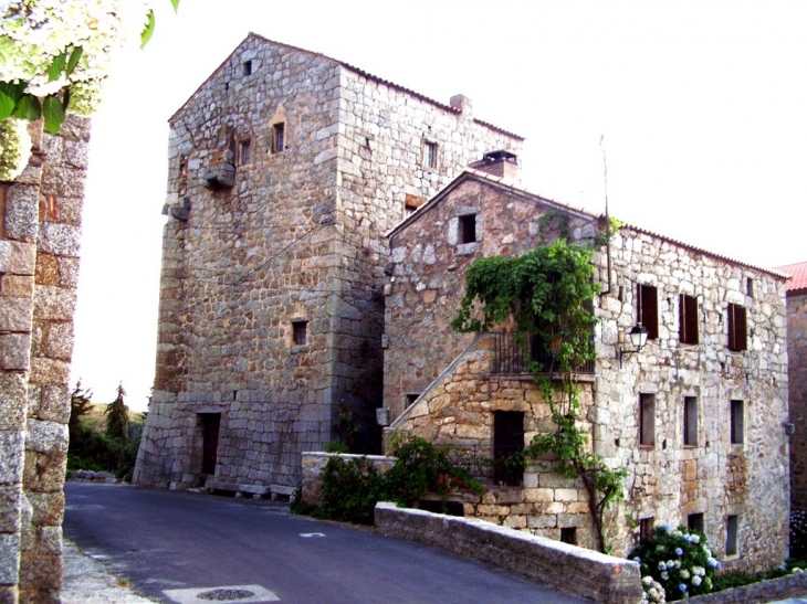 Maison de  Collomba - Fozzano