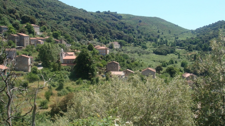 LE VILLAGE - Olmiccia