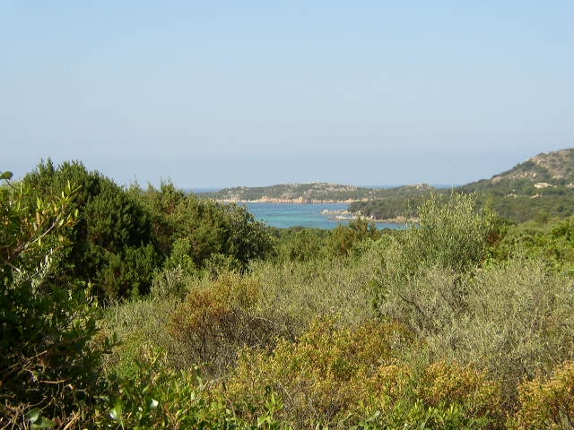 Réserve des Bruzzi - Pianottoli-Caldarello