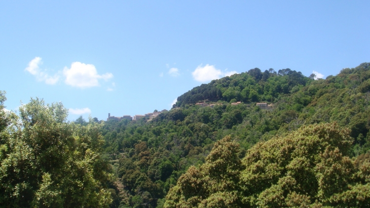 LE VILLAGE - Serra-di-Scopamène