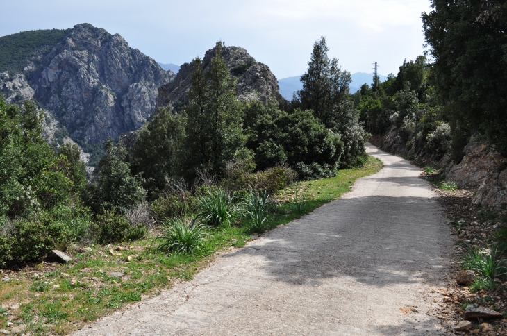 Col de Mercujo - Tolla