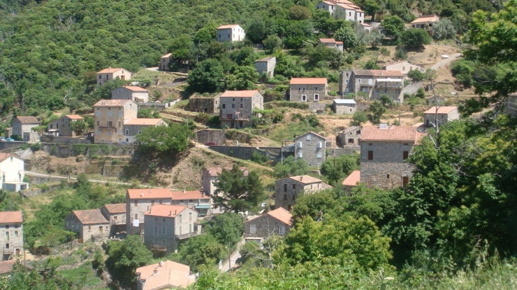 VILLAGE - Zoza