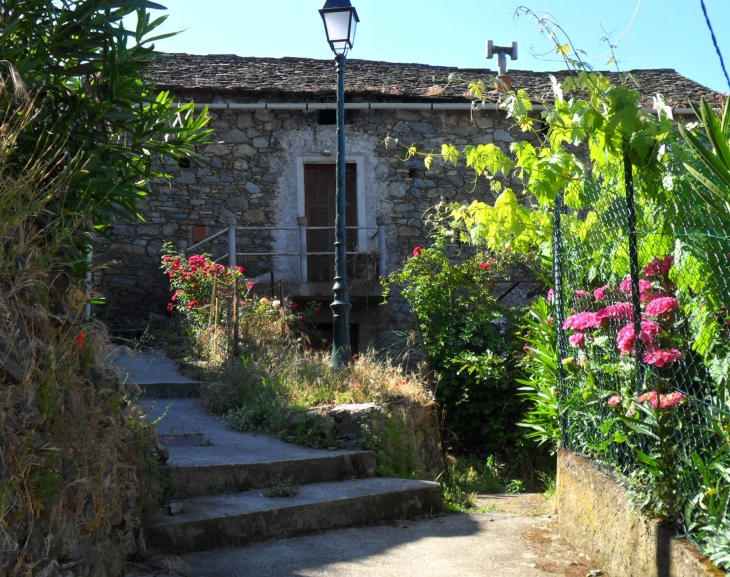 Rue fleurie de Bisinchi