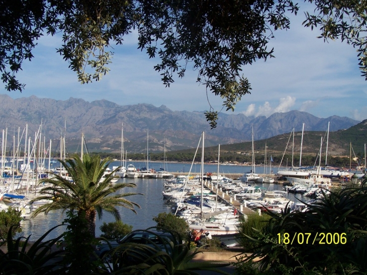 LE PORT - Calvi