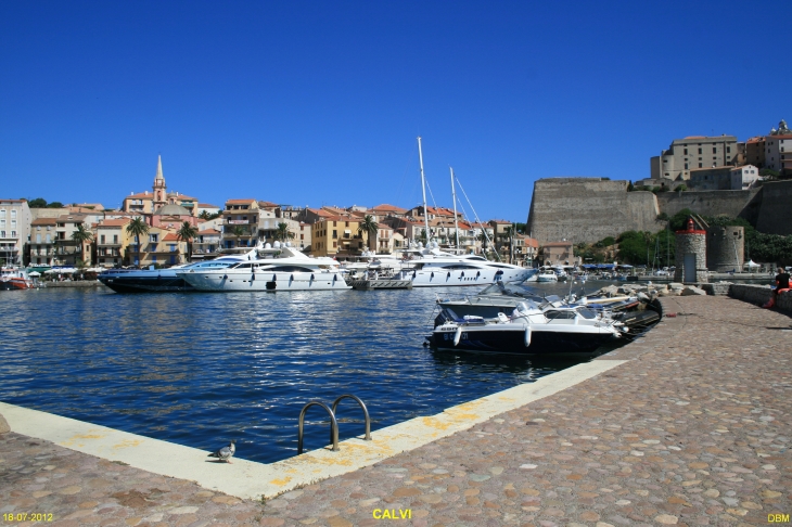 Le Port de Plaisance. - Calvi