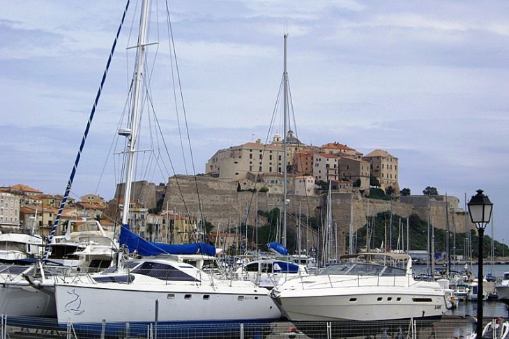 La citadelle vue du port - Calvi