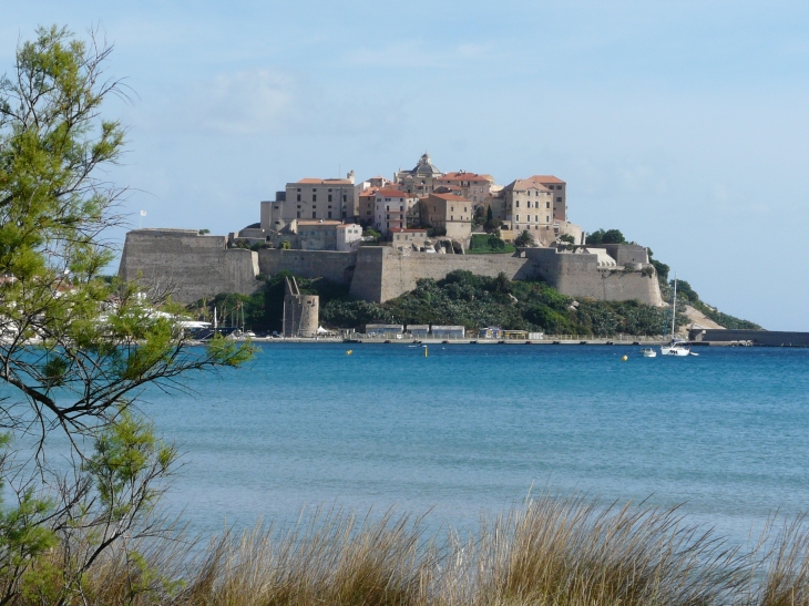 La citadelle - Calvi