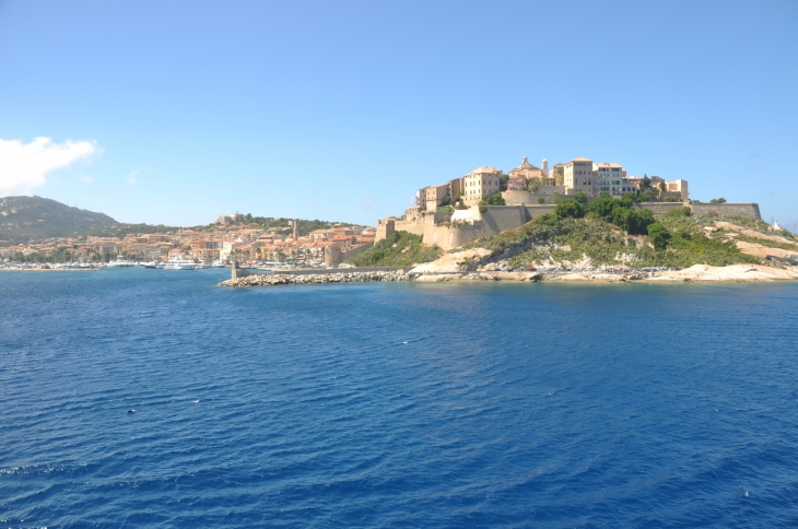 Calvi