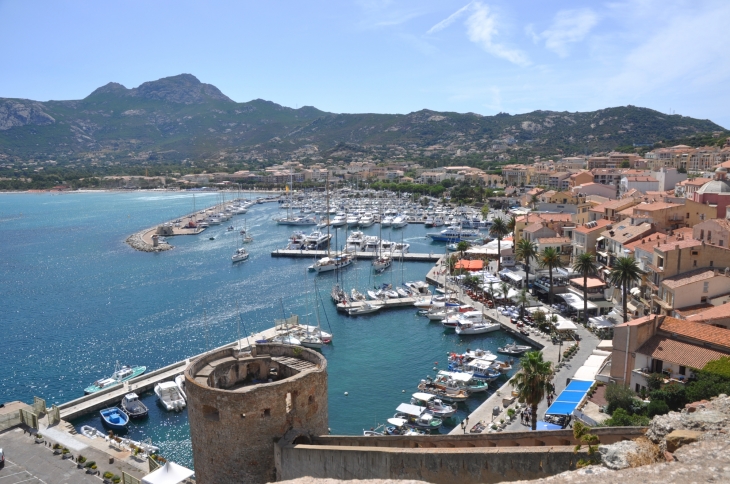 Le Port - Calvi