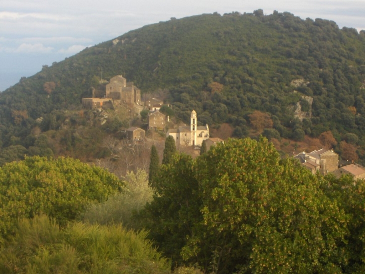 Chiatra de la vue du hammeau Nivolaccio