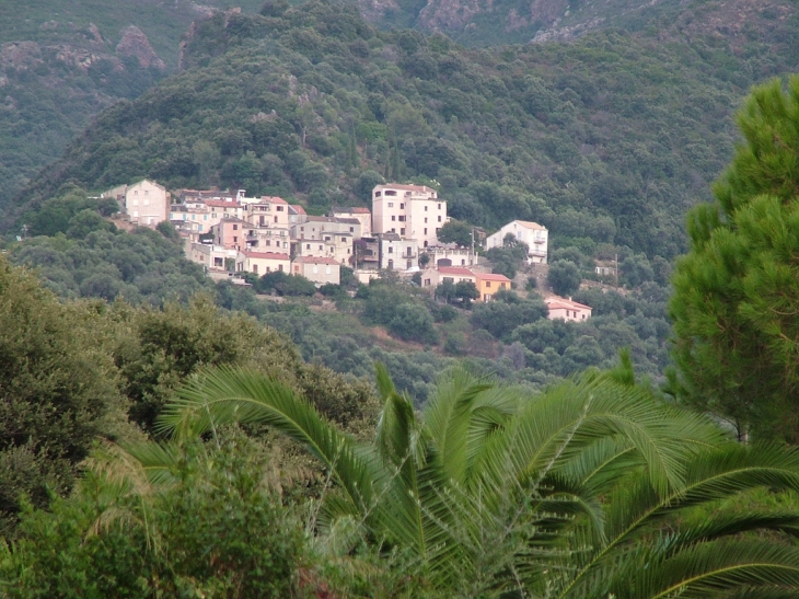 Hameau du Sparagaghju - Farinole