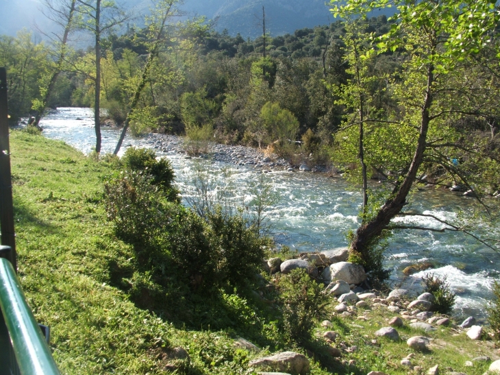 Camping ** '*'  et  Locations Meublés ** '*'  en bordure de rivière - Moltifao