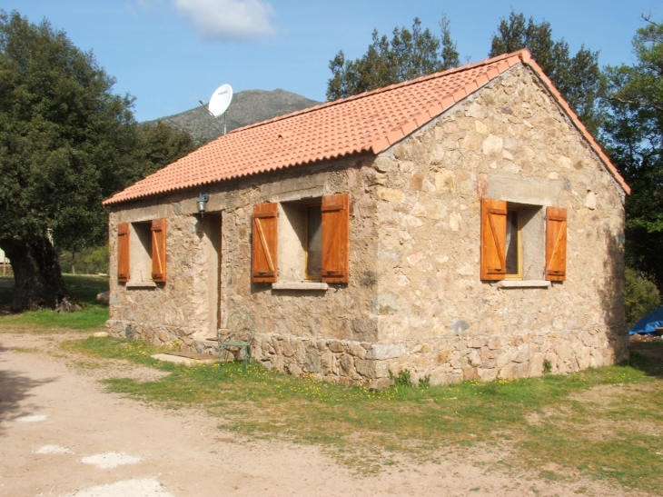 Location de maisons meublées - Moltifao