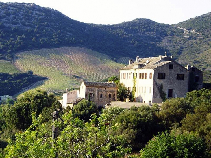 Village du vignoble - Patrimonio