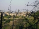 Photo suivante de Penta-di-Casinca vue sur le village