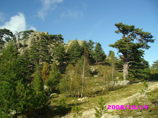 Haut dessus de la source de Pinzelli - Poggio-di-Nazza