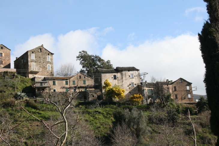 Village de poggio - Poggio-Marinaccio