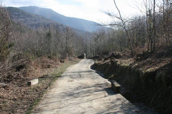 Village de poggio - Poggio-Marinaccio