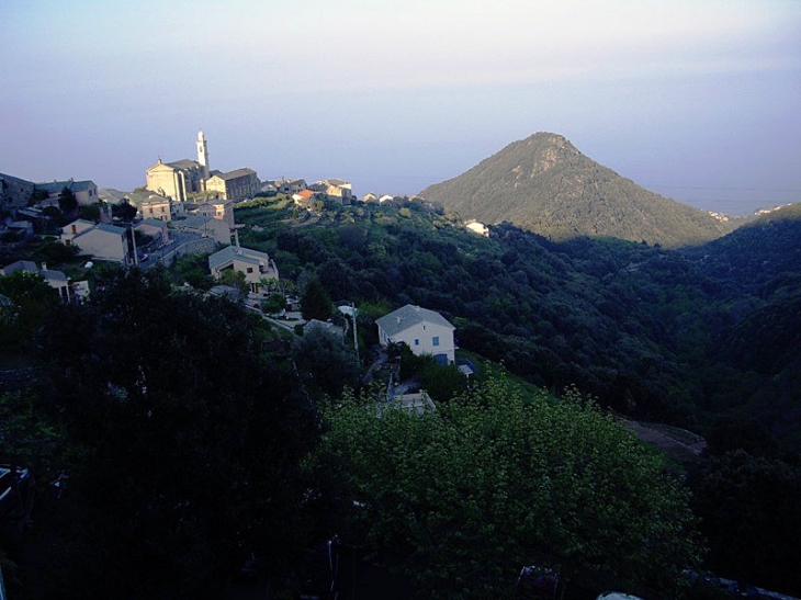 Vue sur le village - San-Martino-di-Lota