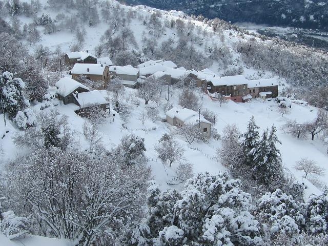 Scolca sous la neige