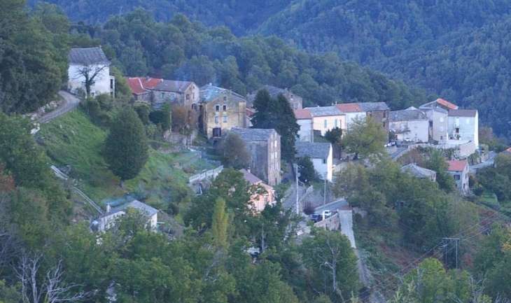 Castagneto de Valle d'Alesani - Valle-d'Alesani