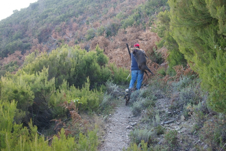 Retour de chasse - Valle-d'Alesani