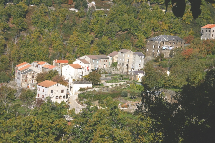 Terrivola d'Alesani - Valle-d'Alesani