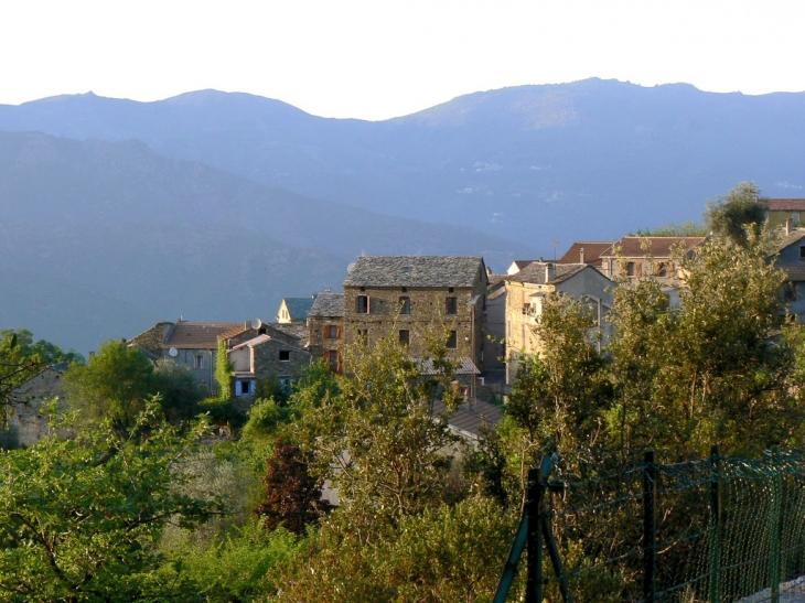 Le village - Valle-di-Rostino