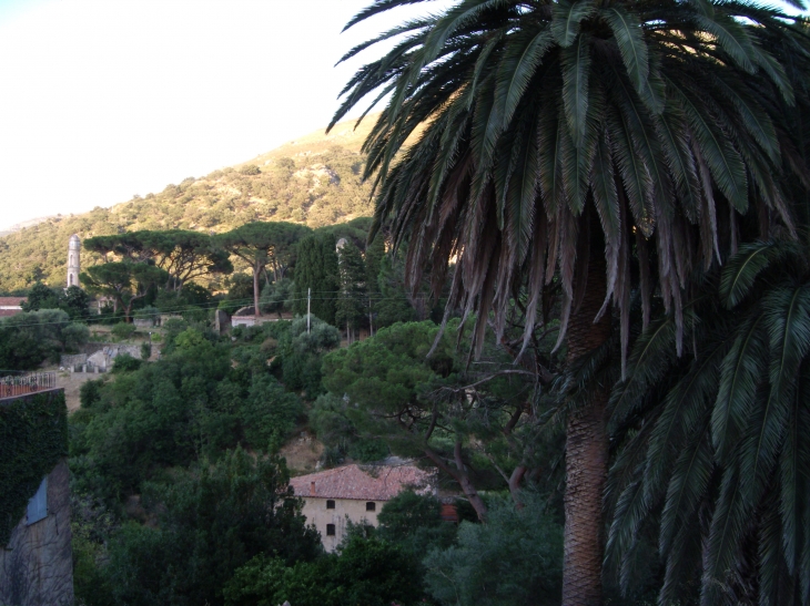 De ma fenêtre, vue sur le payasage  - Ville-di-Paraso