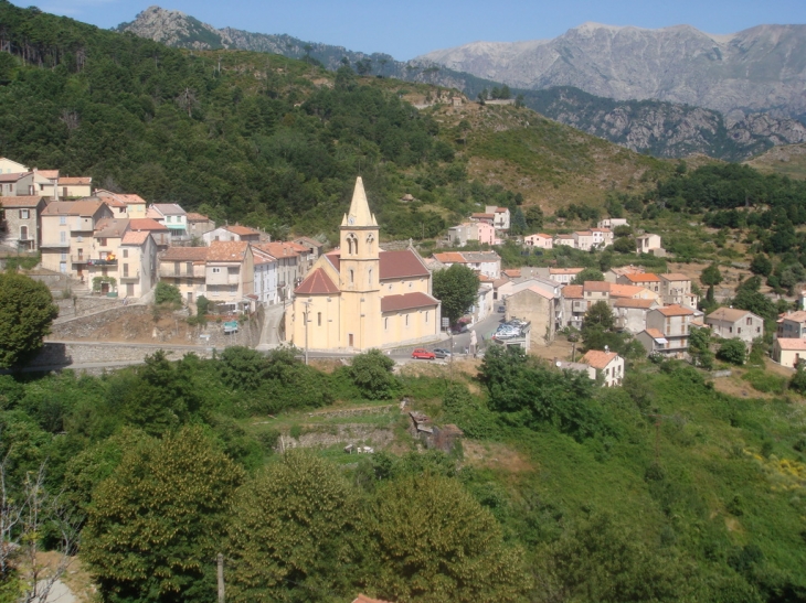 VIVARIO - HAUTE CORSE