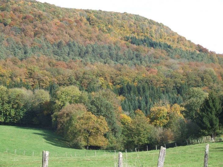 L'automne à cademene - Cademène